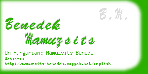 benedek mamuzsits business card